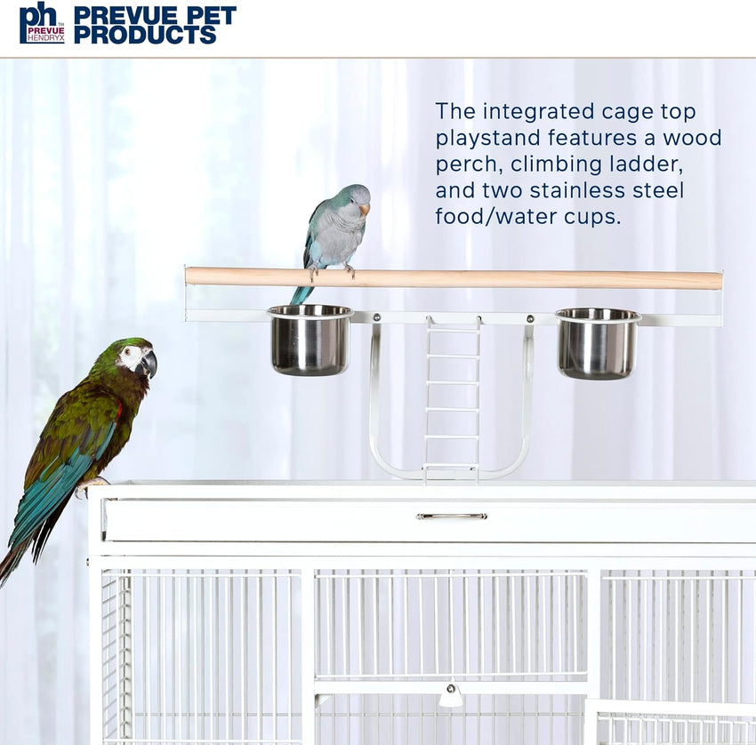 Pet Products Wrought Iron Select Bird Cage 3154C. Chalk White. 36-Inch by 24-Inch by 66-Inch