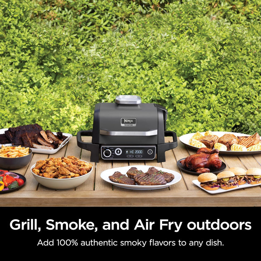 7-in-1 Grill & Smoker with Thermometer. Air Fryer. BBQ. Bake. Roast. Broil - Portable Electric Outdoor Grill. Grey
