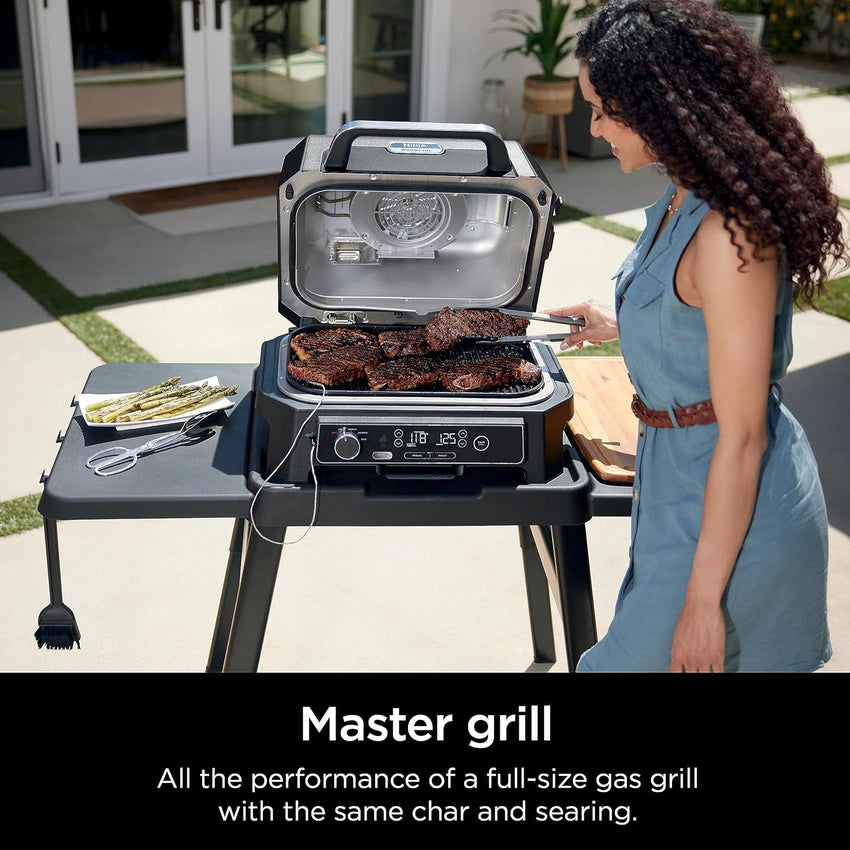 7-in-1 Grill & Smoker with Thermometer. Air Fryer. BBQ. Bake. Roast. Broil - Portable Electric Outdoor Grill. Grey