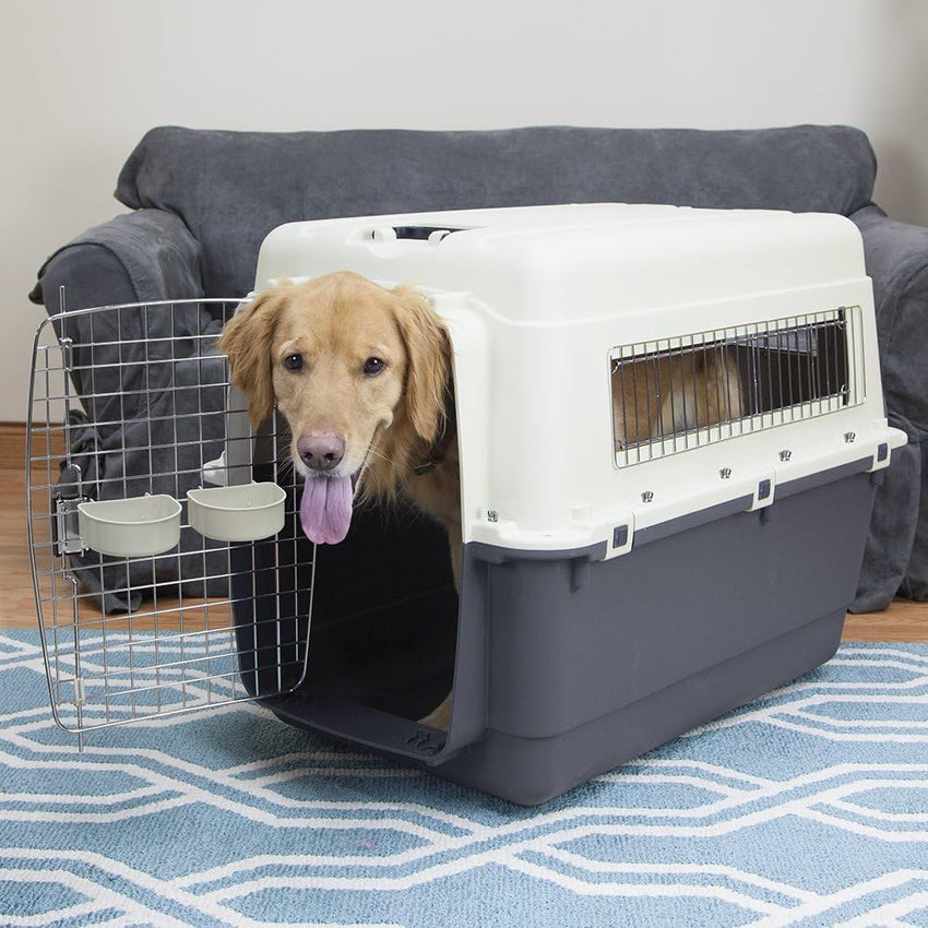 SportPet Designs Plastic Kennels Rolling Plastic Airline Approved Wire Door Travel Dog Crate. XXX-Large. Gray