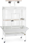 Pet Products Wrought Iron Select Bird Cage 3154C. Chalk White. 36-Inch by 24-Inch by 66-Inch