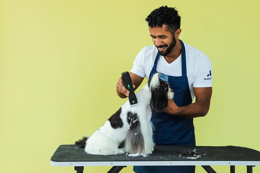 79170 Pulse Zr II 5-Speed Detachable Blade Clipper. Cordless Animal/Dog Grooming. Removable Lithium Ion Battery. LED Charge Light. Black