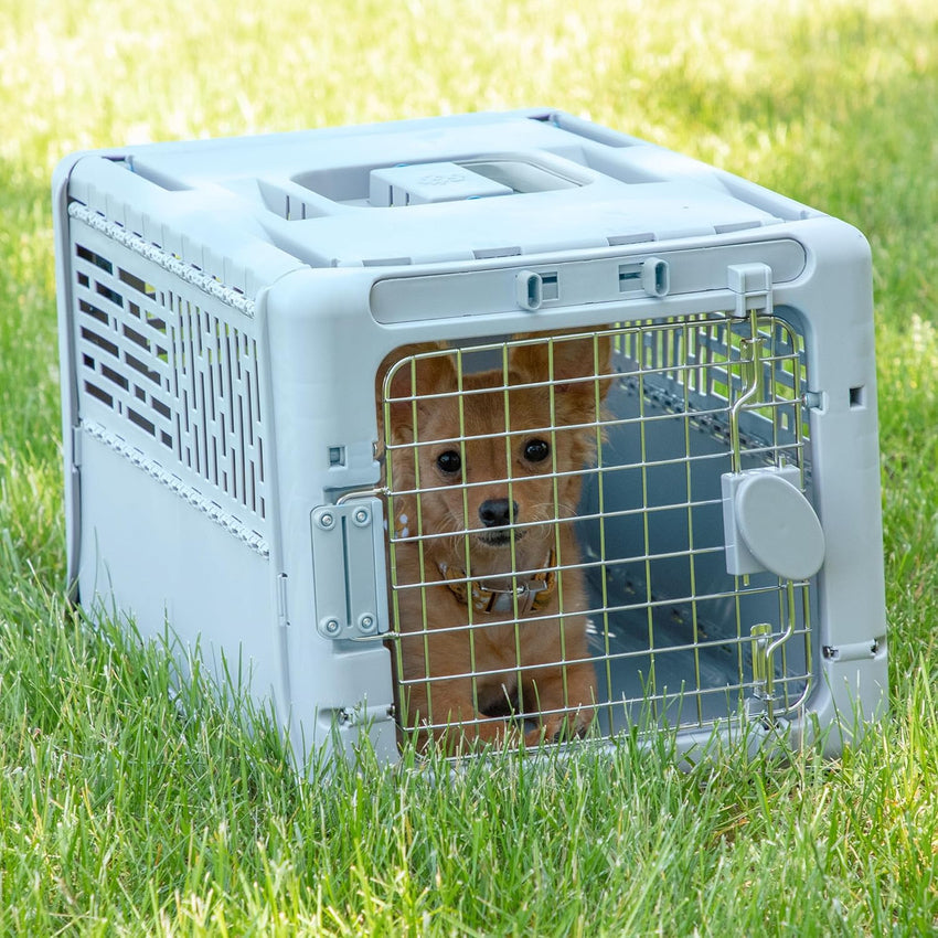 SportPet Designs Plastic Kennels Rolling Plastic Airline Approved Wire Door Travel Dog Crate. XXX-Large. Gray